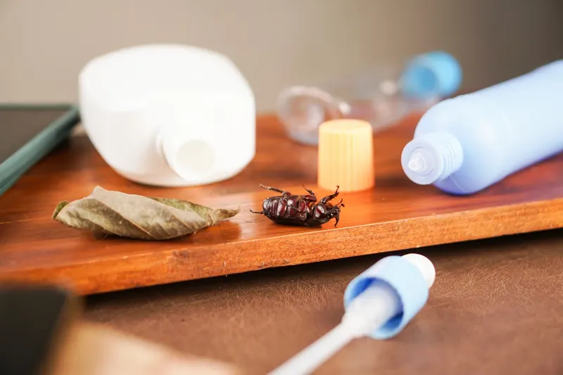 Haşere izlerinin incelendiği hijyen kontrol alanı